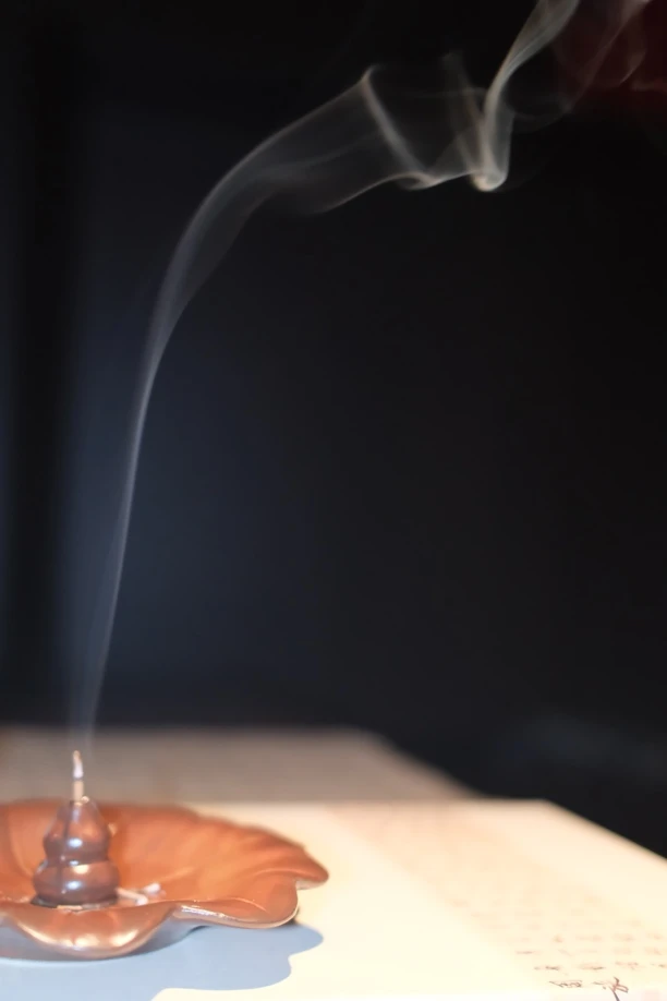 【梵心】天然海南沉香[琼脂天香]室内房间中式香薰