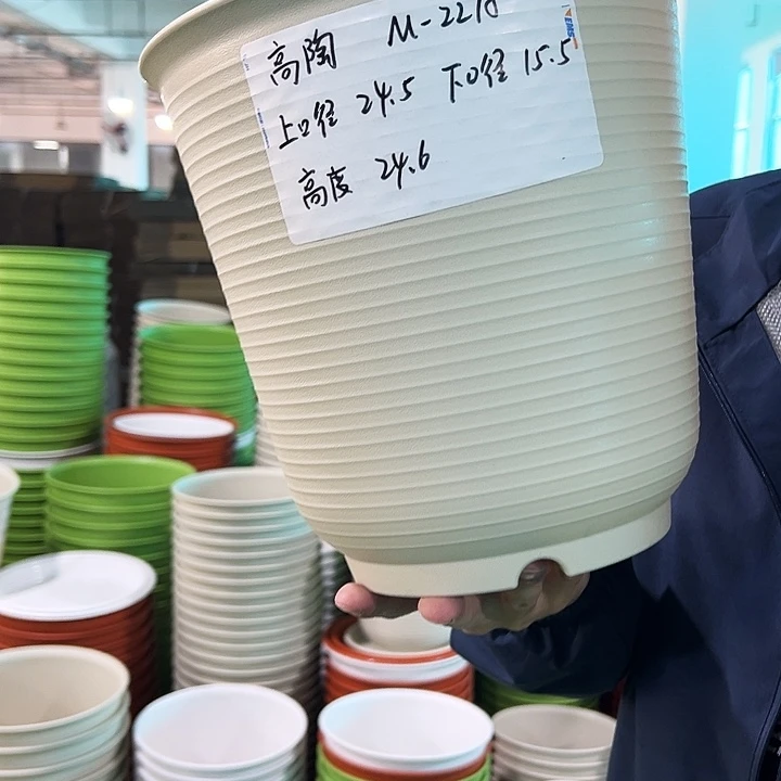 正品高陶口24.5高24.6米色无托5只