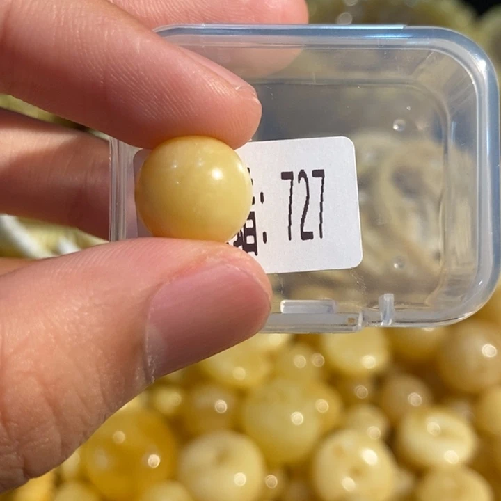 琥珀未镶嵌珠宝奇石727