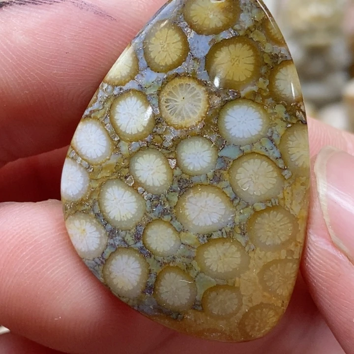 颈饰未镶嵌硅化珊瑚（珊瑚玉）小