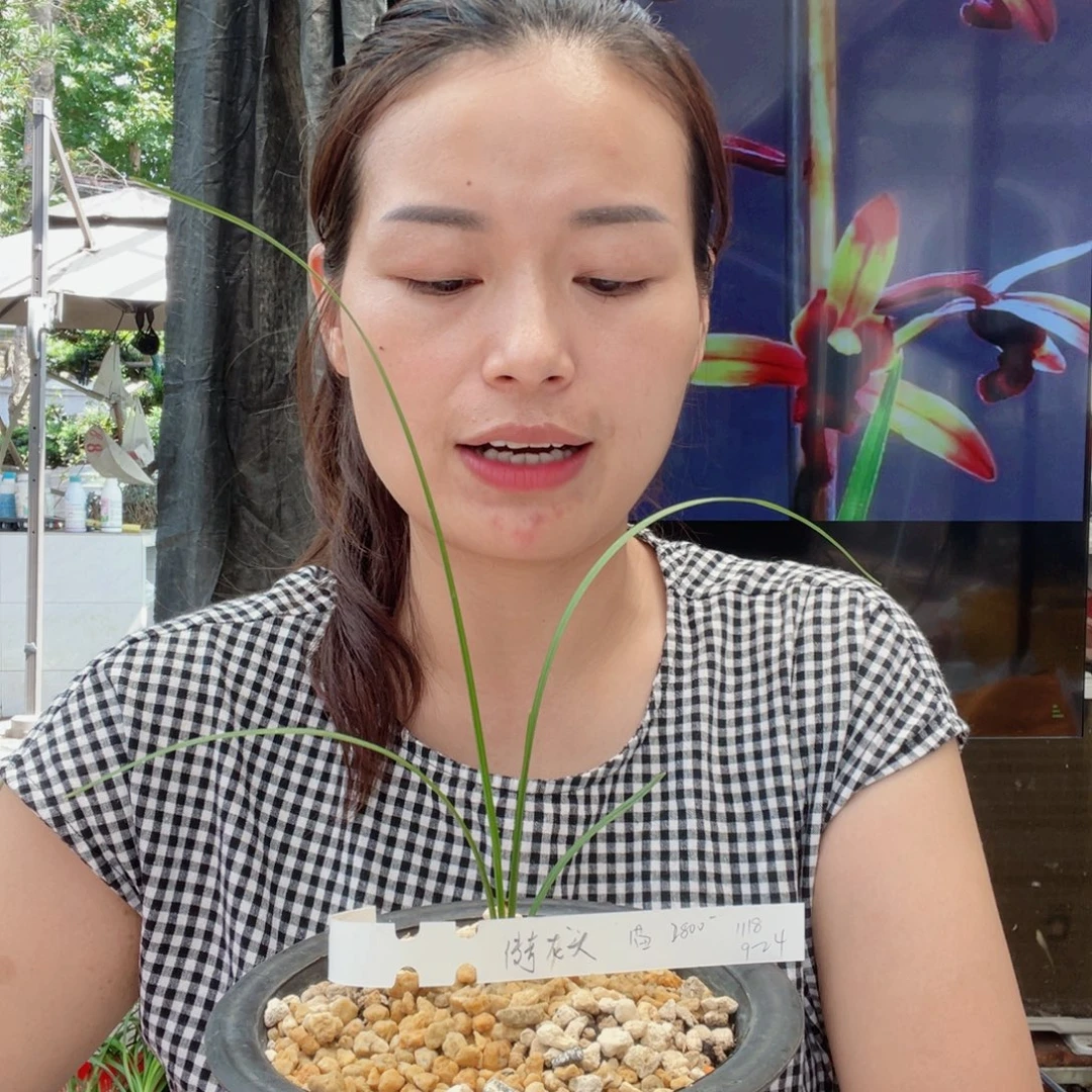 一***草完全开放传奇寄养