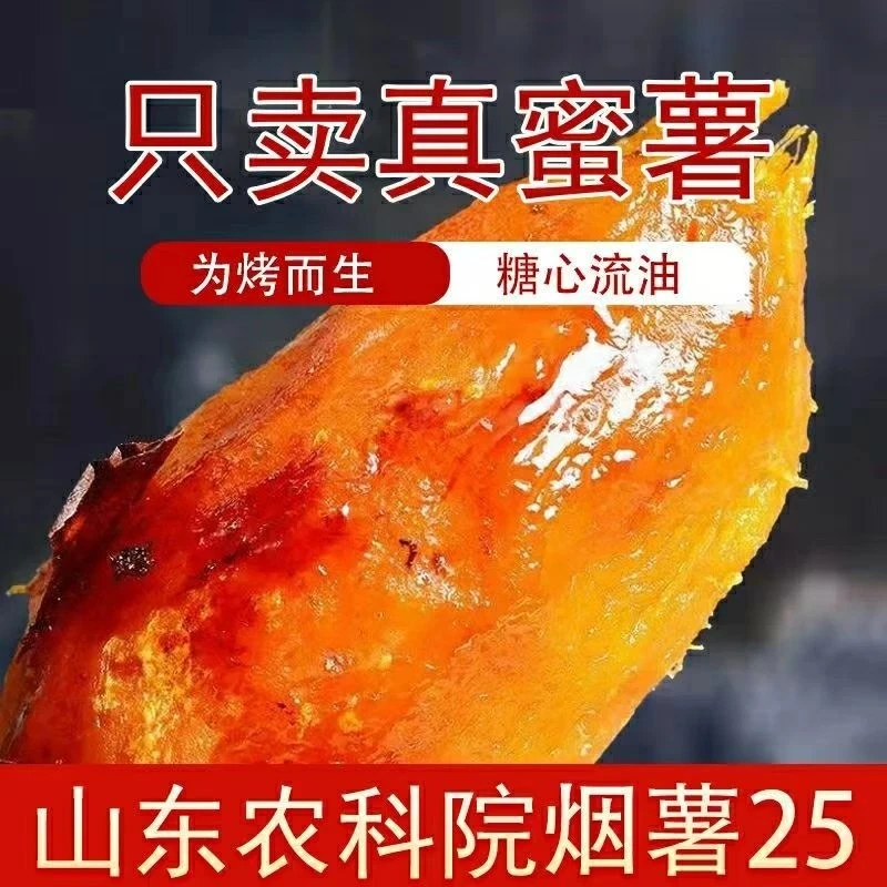 【下单·极速达】山东正宗农家烟薯25号蜜薯 新鲜糖心流油番薯蜜薯