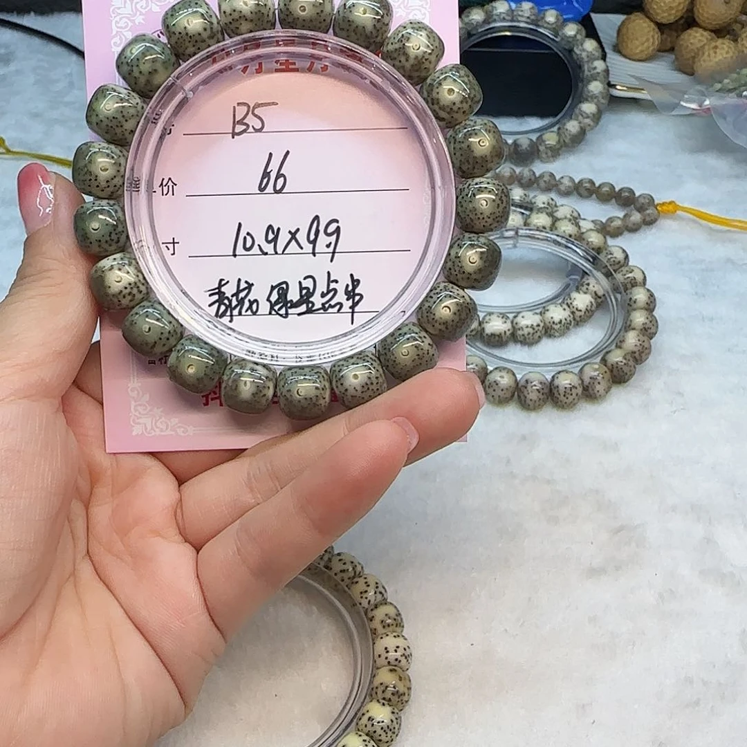 小*儿心月星月菩提一号B5