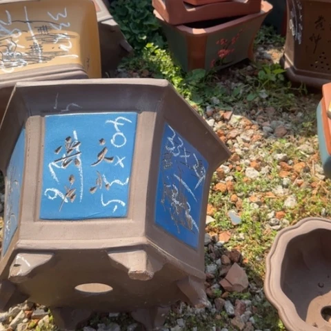 紫砂花盆紫砂花盆盆景盆栽