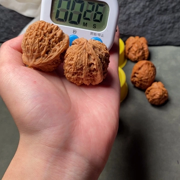 核桃等经济林果地的