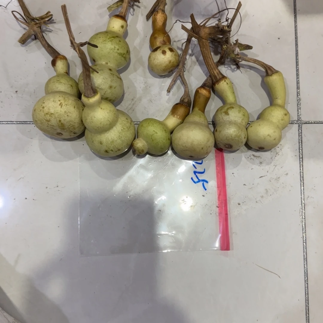 无***。青皮不包成青皮不包成