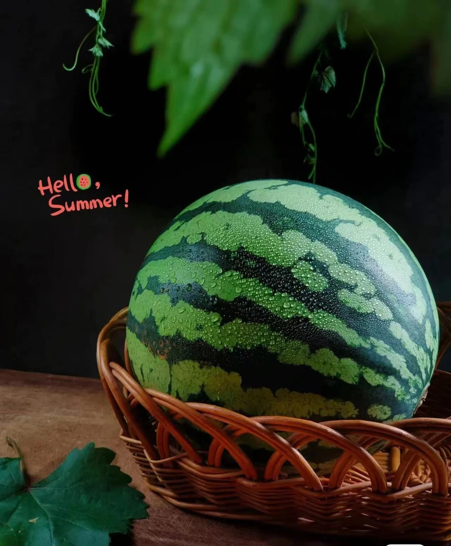 西瓜中的爱马仕（李明兴）