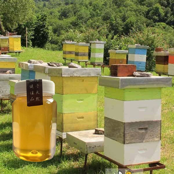 农家自产 助农  天然成熟 蜂蜜