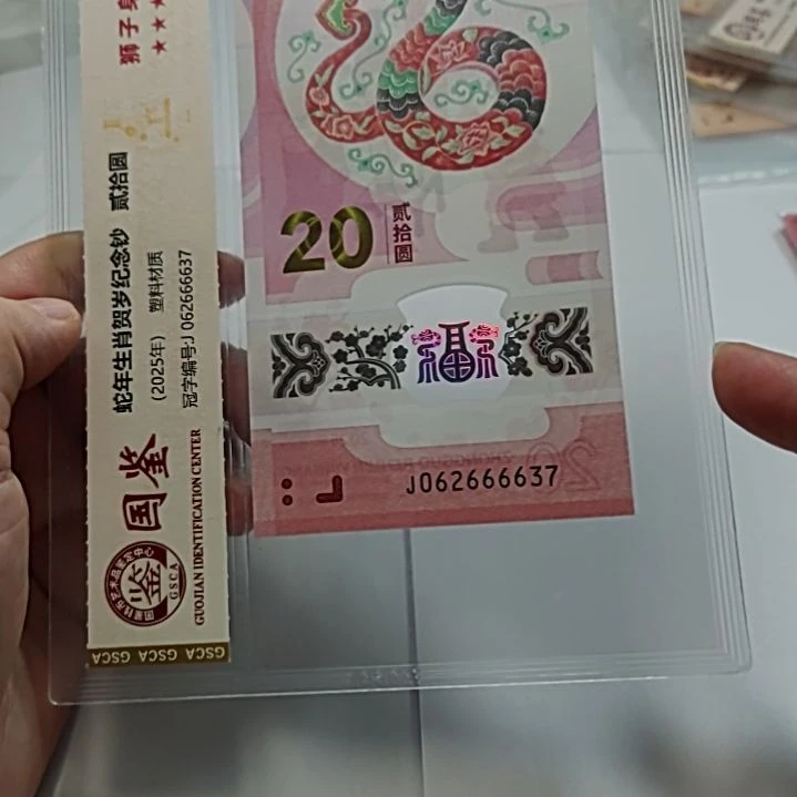 塑料小蛇钞狮子身62666637评级