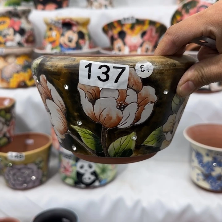 红陶田小姐多肉花盆