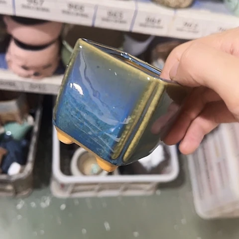 ····全是福利····856