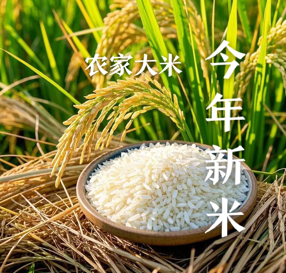湖南湘西农家种植大米.糯米.糯小米