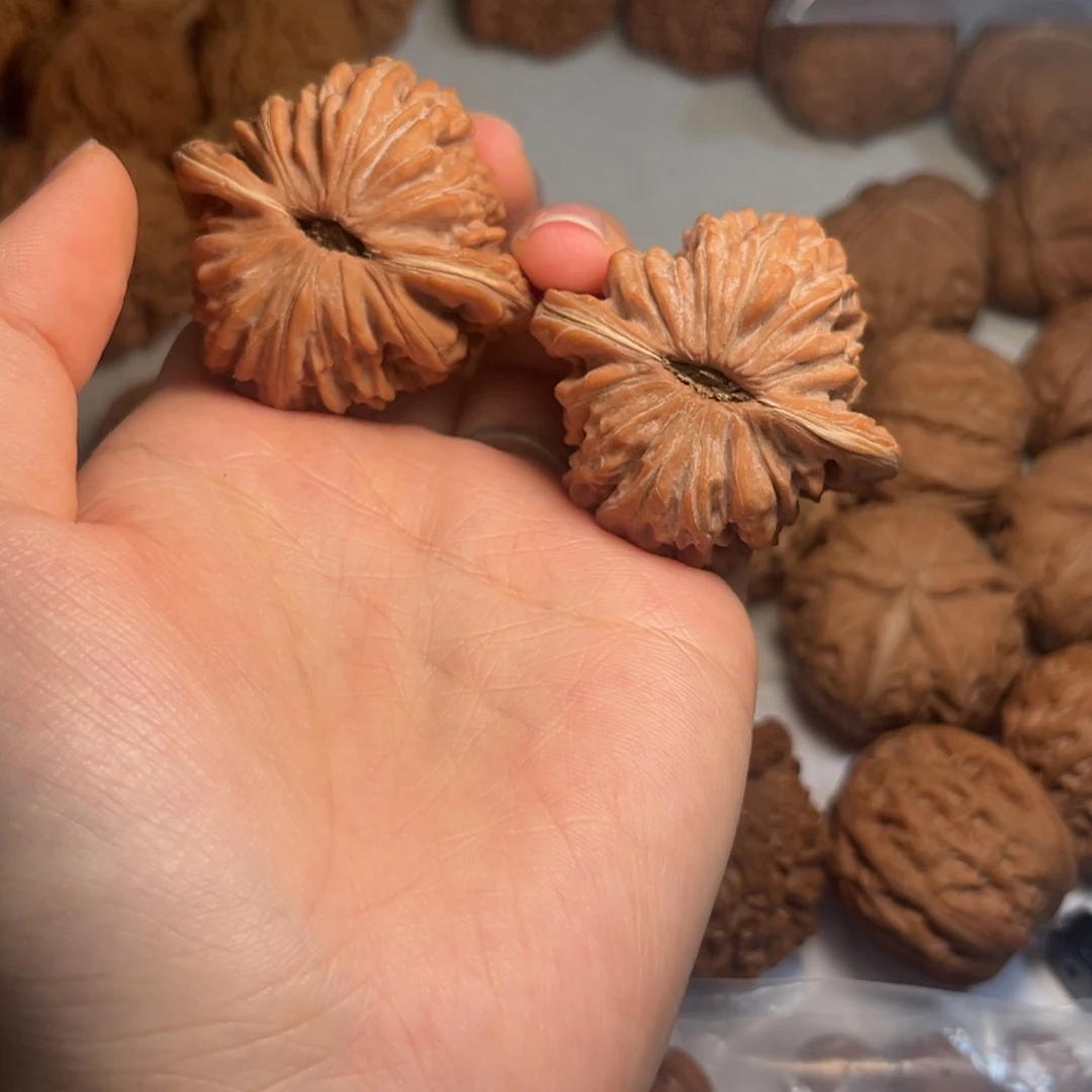 我***人大叶紫檀（黑酸枝木类）