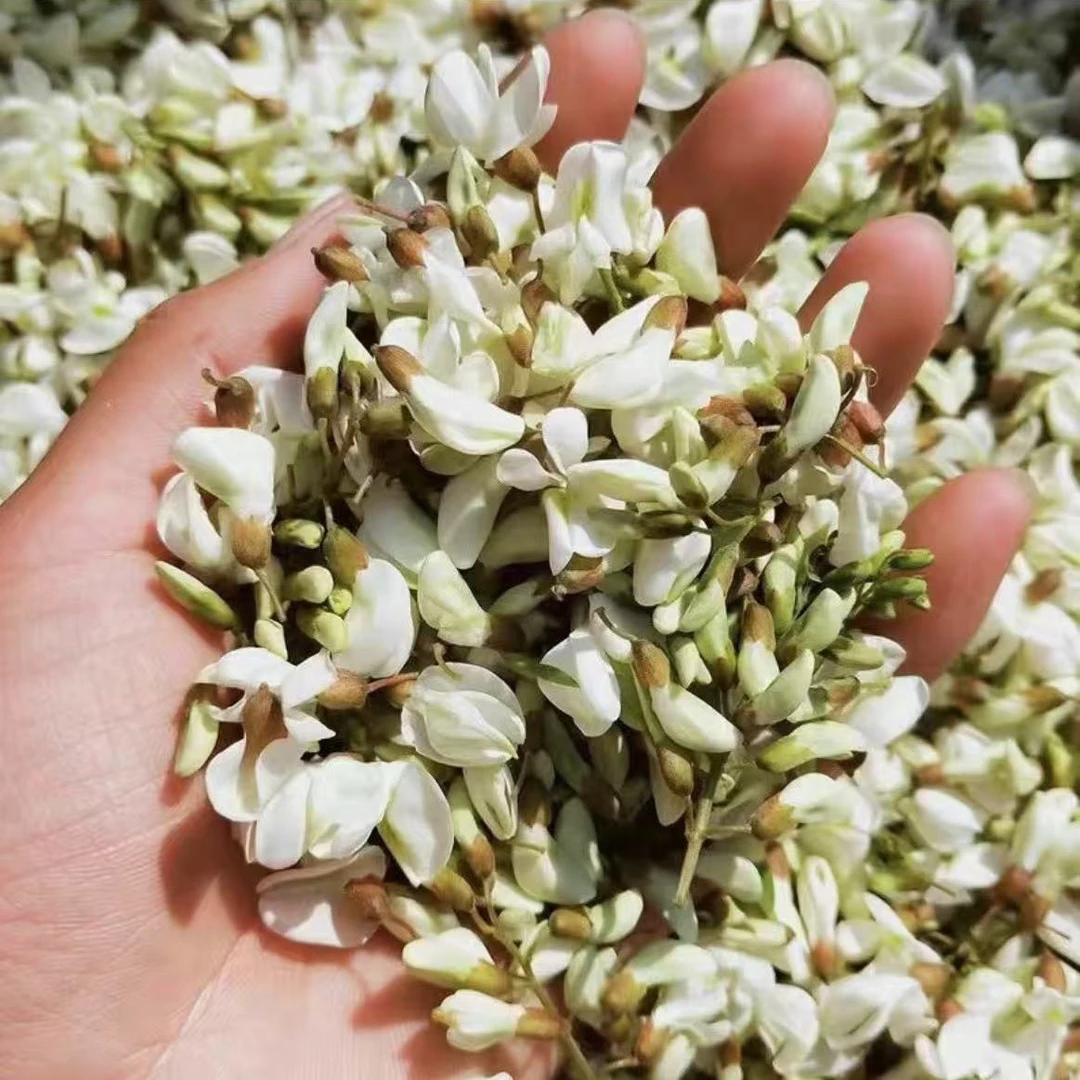 2025年头茬新鲜野生槐花刺槐米天然杨槐树花苞槐花串子花骨朵