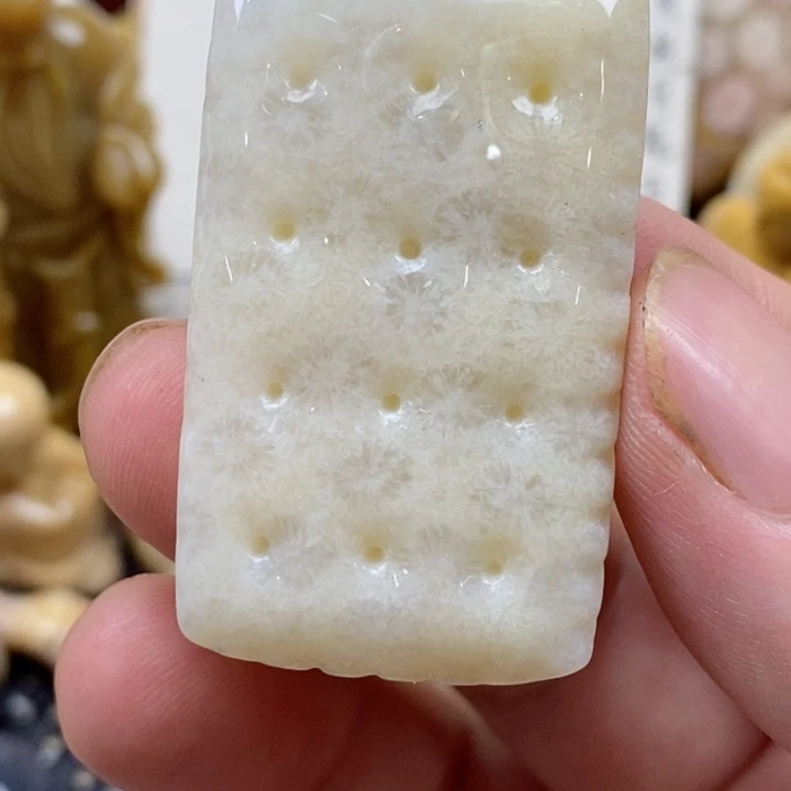 颈饰未镶嵌硅化珊瑚（珊瑚玉）