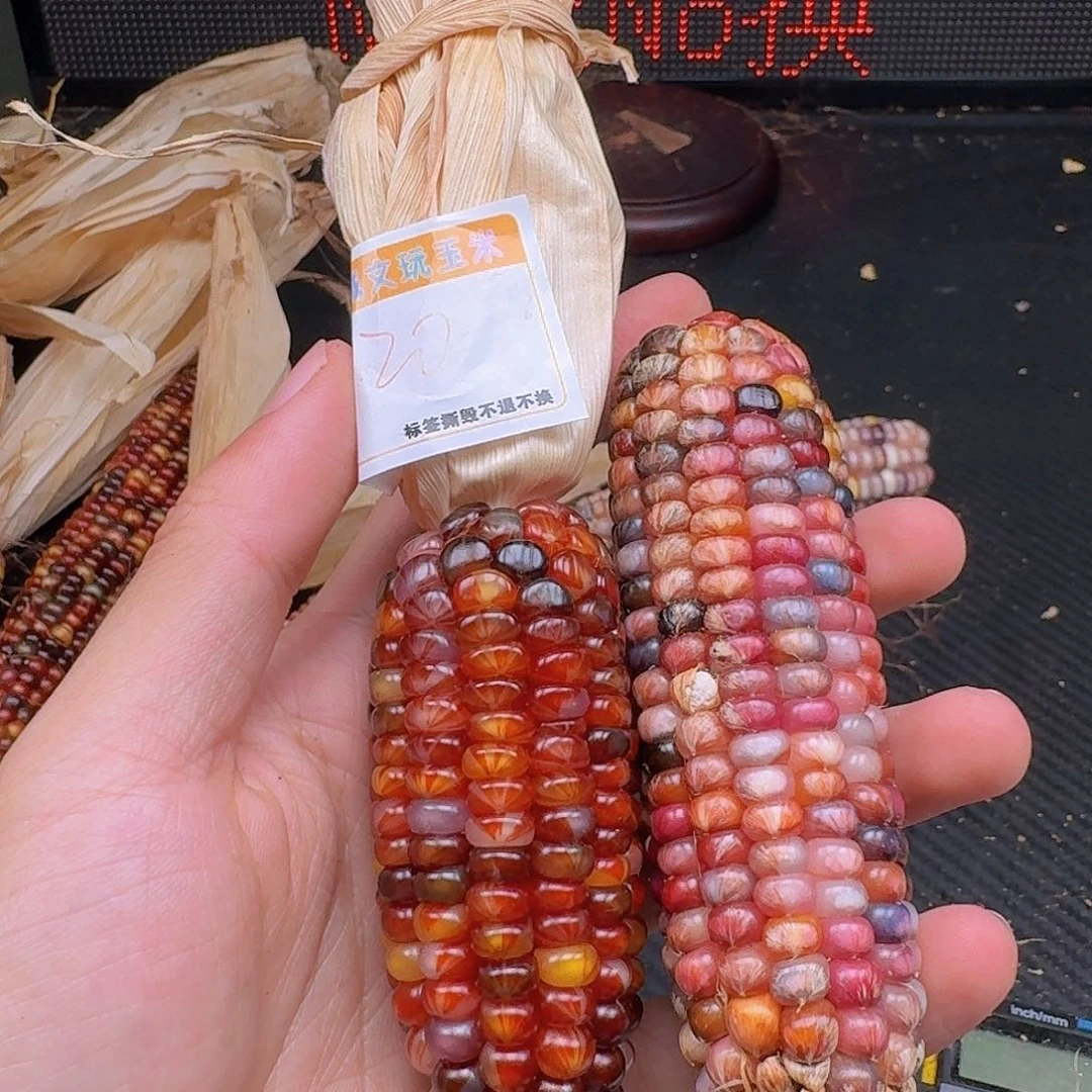 烟***影柏香籽/百香籽吊坠