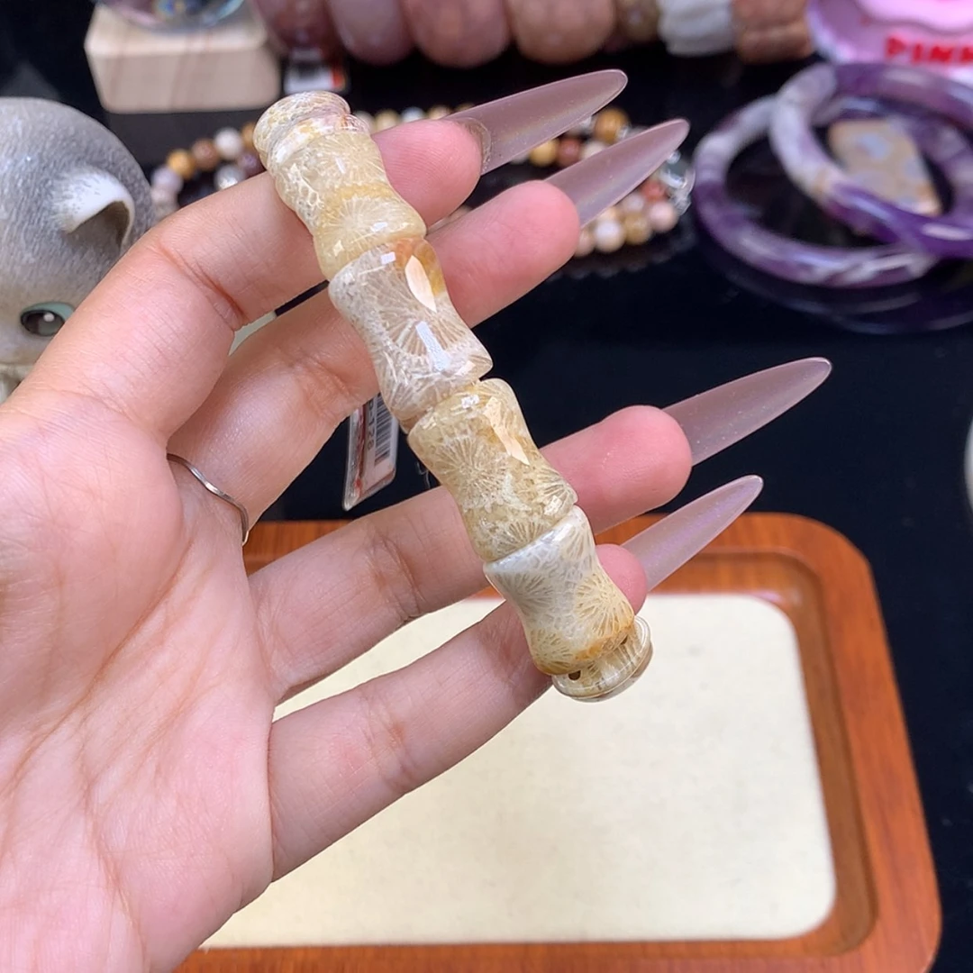【闪购商品】颈饰未镶嵌硅化珊瑚（珊瑚玉）