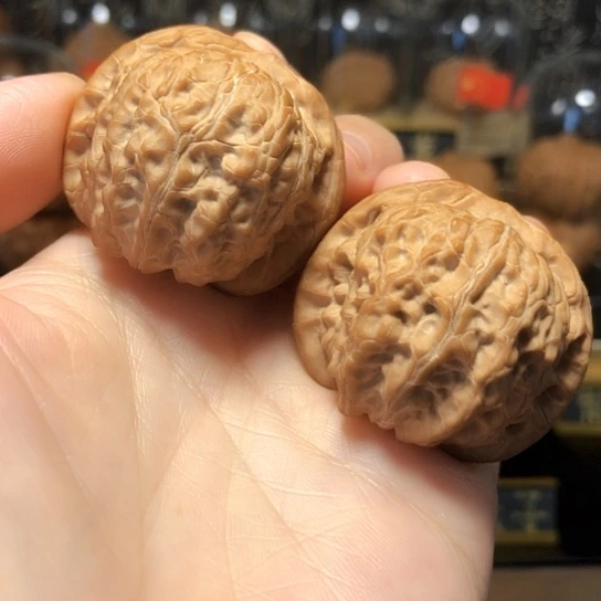 精品：平谷血麒麟