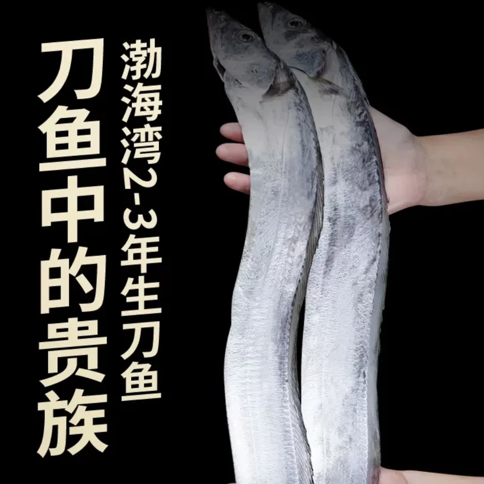 大连发货野生优质渤海湾刀鱼带鱼海捕甄选鲜嫩肉质新鲜冷冻深海