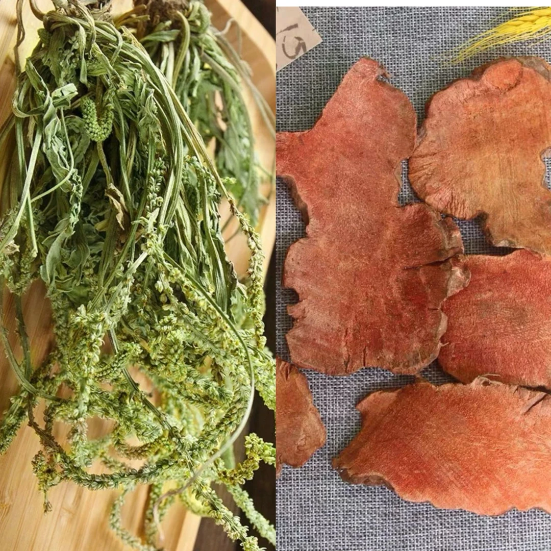 【列列茶】车前草土茯苓组合泡水