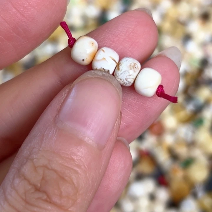 未镶嵌蜜蜡裸石6.2mm一组