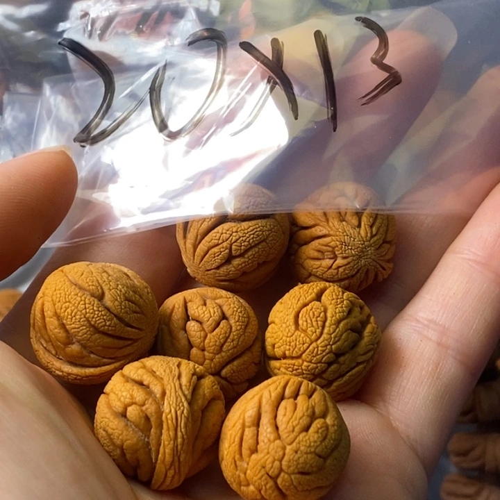 手串文玩核桃秦岭野生龙纹桃核20