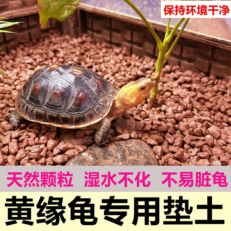 黄缘龟土安缘龟专用土陆龟水龟爬宠垫土龟缸造景垫材土天然颗粒土