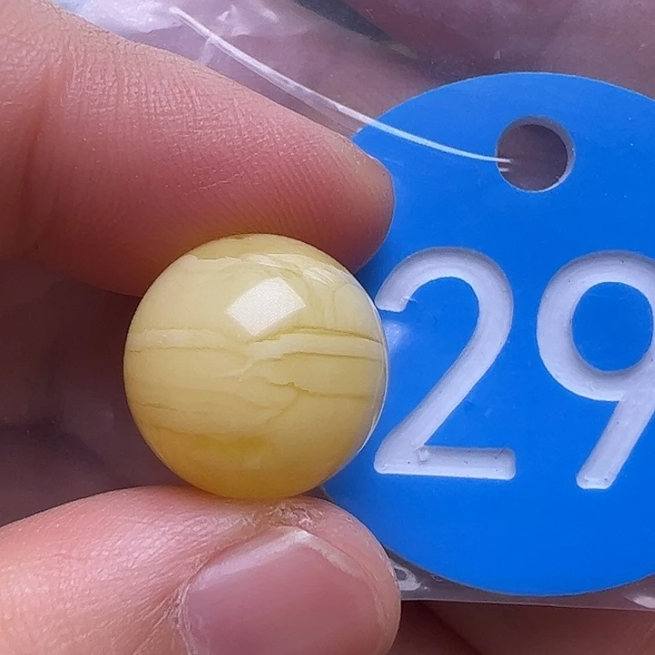未镶嵌蜜蜡裸石花粉14.6mm花粉