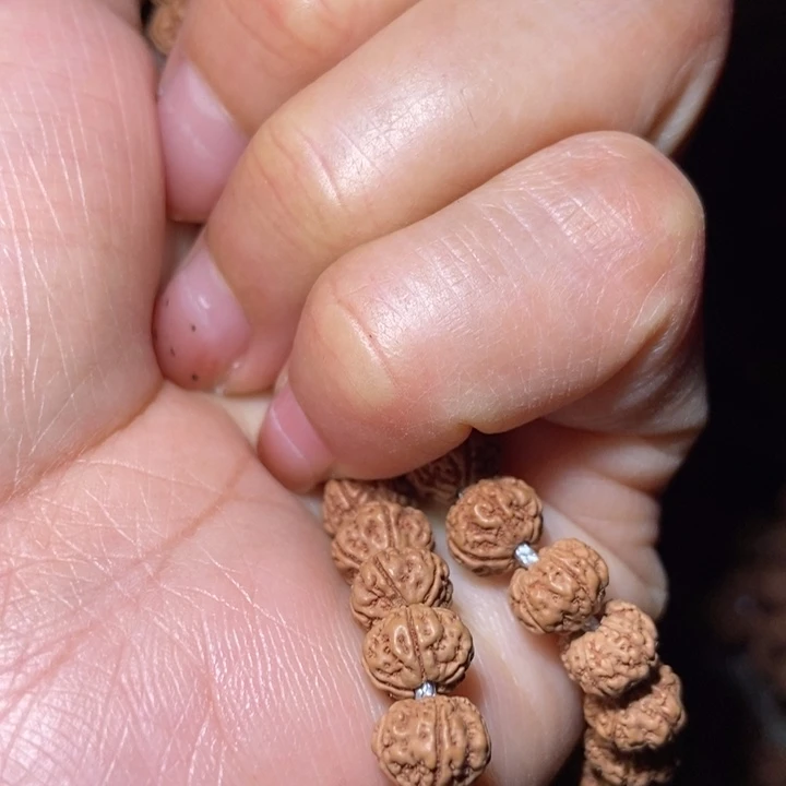 大叶紫檀（黑酸枝木类）X*J长串