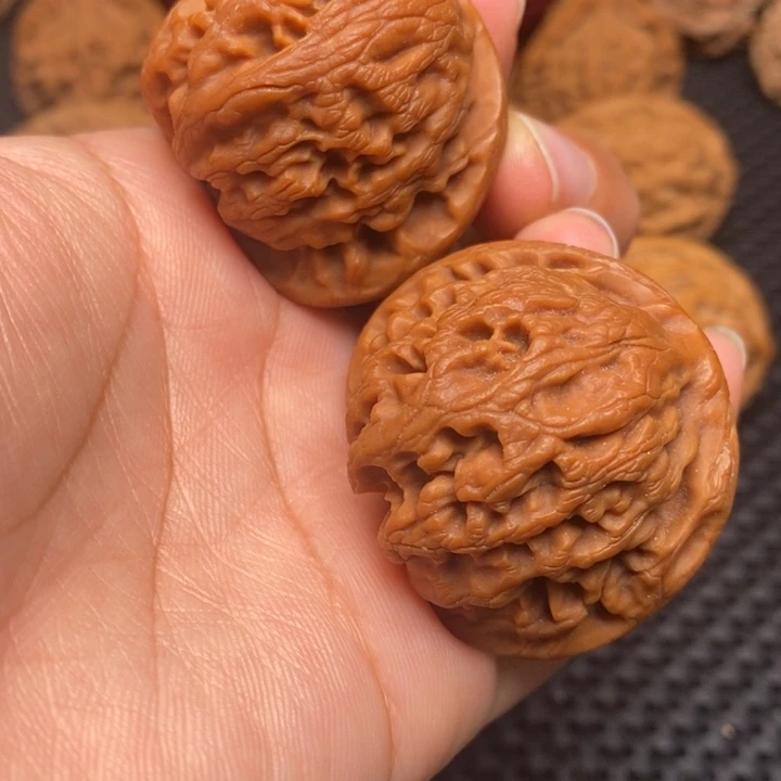 秦岭野生111111111