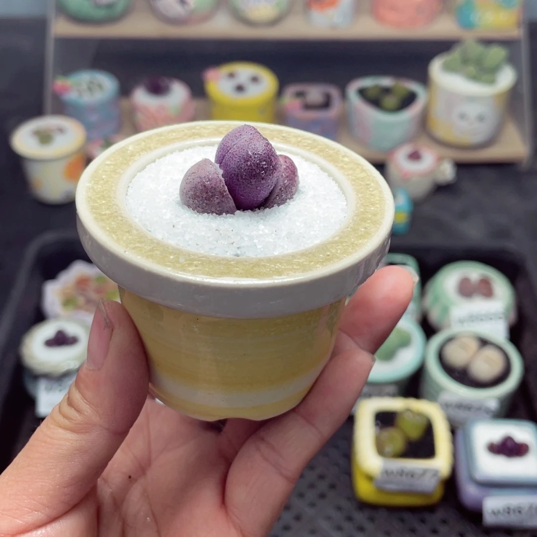 w8678 带盆土发货-零下地区拍保温箱