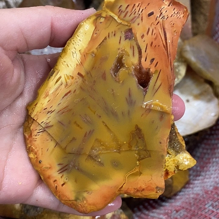 硅化玉未镶嵌颈饰