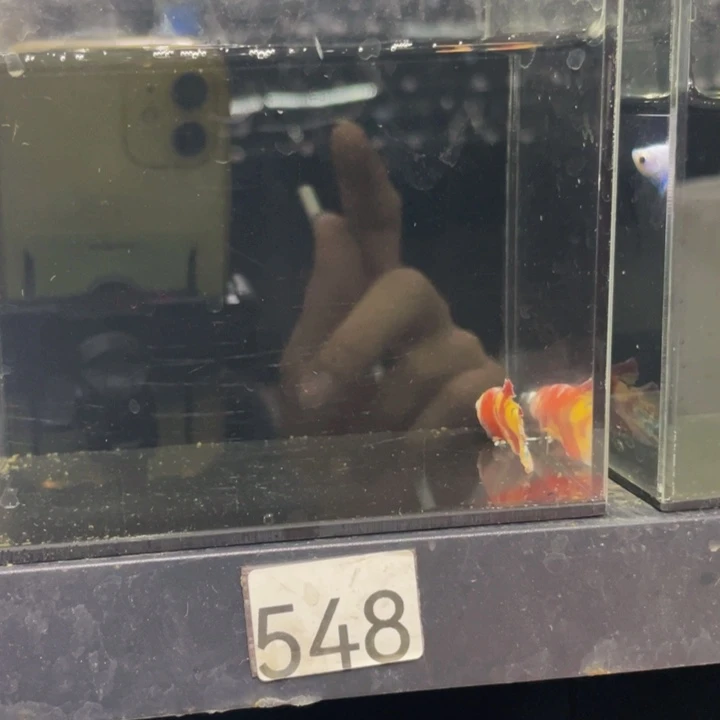 海水哈哈哈哈哈哈哈哈哈试试