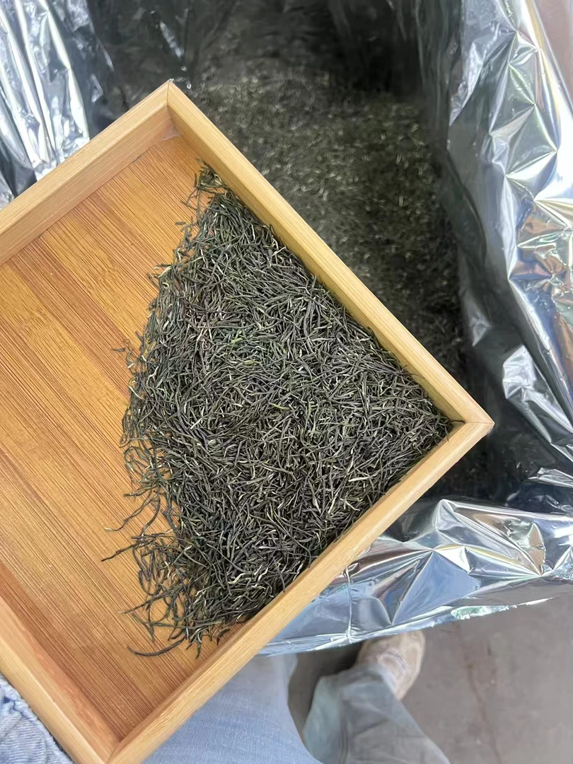 宜宾高山绿茶直条毛尖浓香型耐泡茶叶