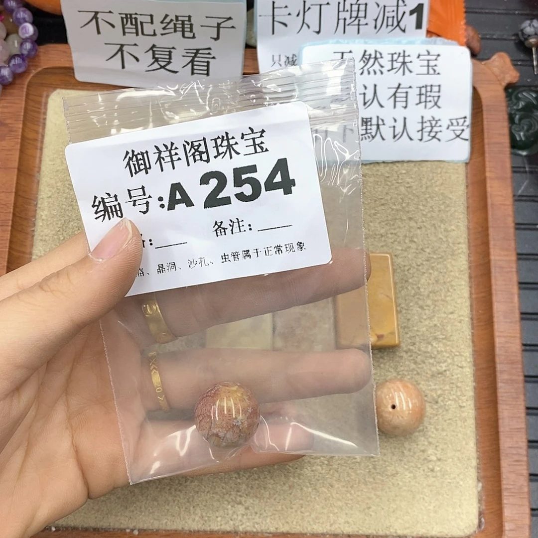 硅化珊瑚（珊瑚玉）颈饰未镶嵌<****>