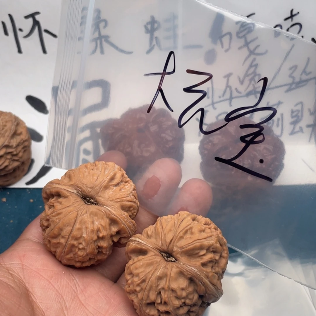 核桃W94796464964649496