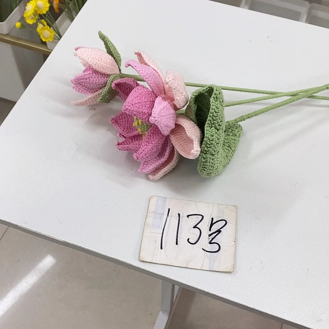 混00000000000000000113