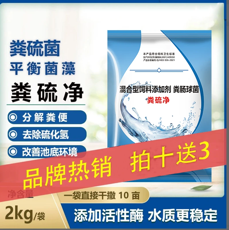 【粪硫净】粪硫菌颗粒改底除黑臭净化 有机质硫化氢降氨氮亚盐