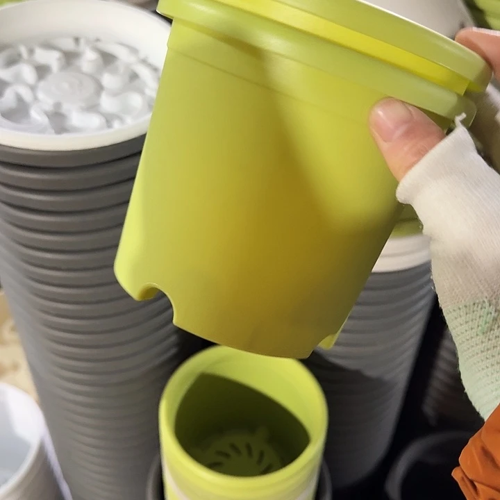 四季1#口径14果绿20个无托微瑕