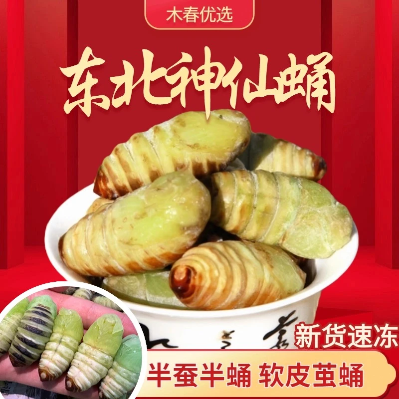 【速冻神仙蛹】东北小神仙蛹半蚕半蛹软皮茧蛹鲜嫩美味营养健康
