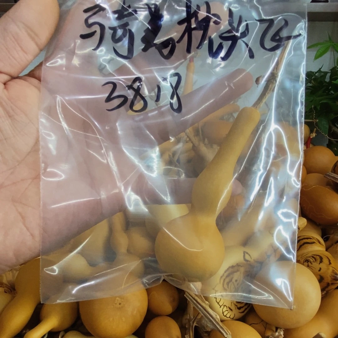 骑***飞直播间链接，文玩葫芦