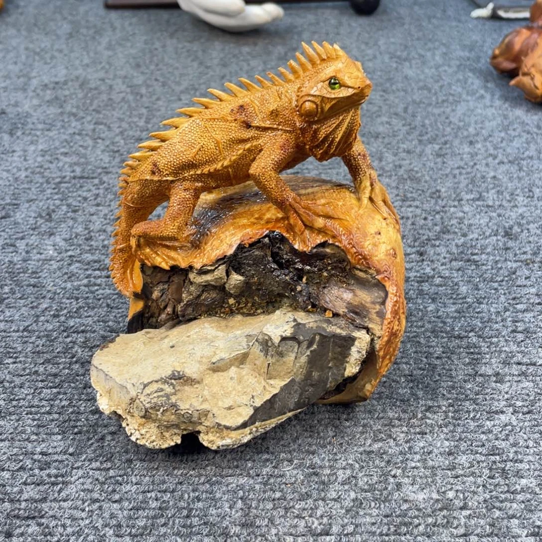 柏木（崖柏）888888888888888