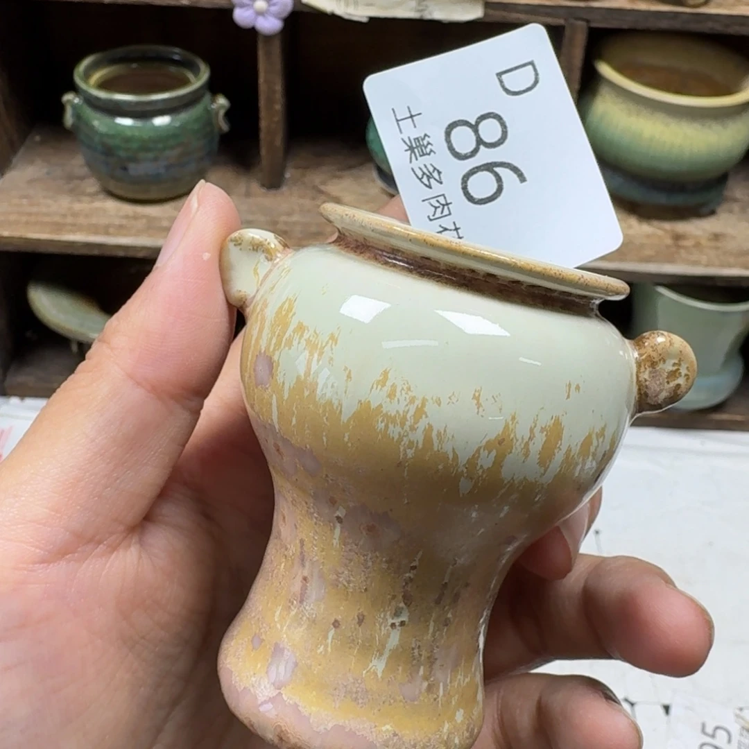 M***i陶瓷艺术设计学与制作
