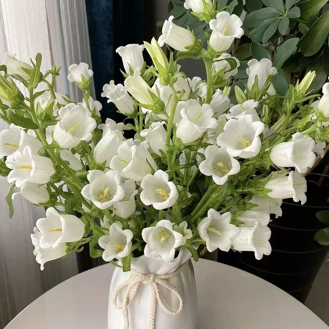 【家居鲜花】风铃1扎（12-18支）