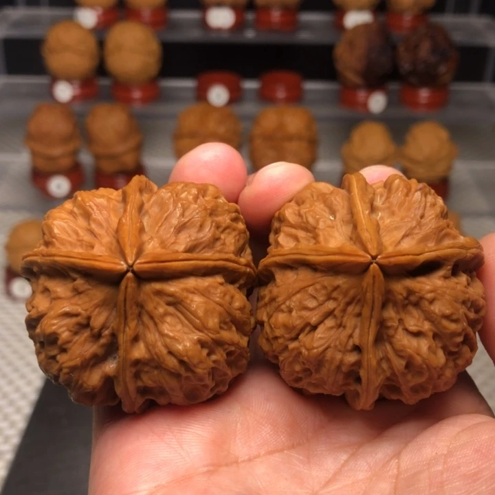 ༺***༻文玩核桃把件100洛神牡丹