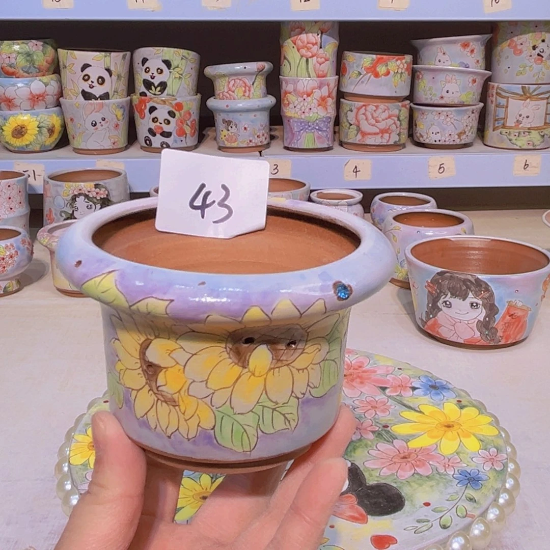 多肉植物粗陶手绘花盆小坊园景德镇43