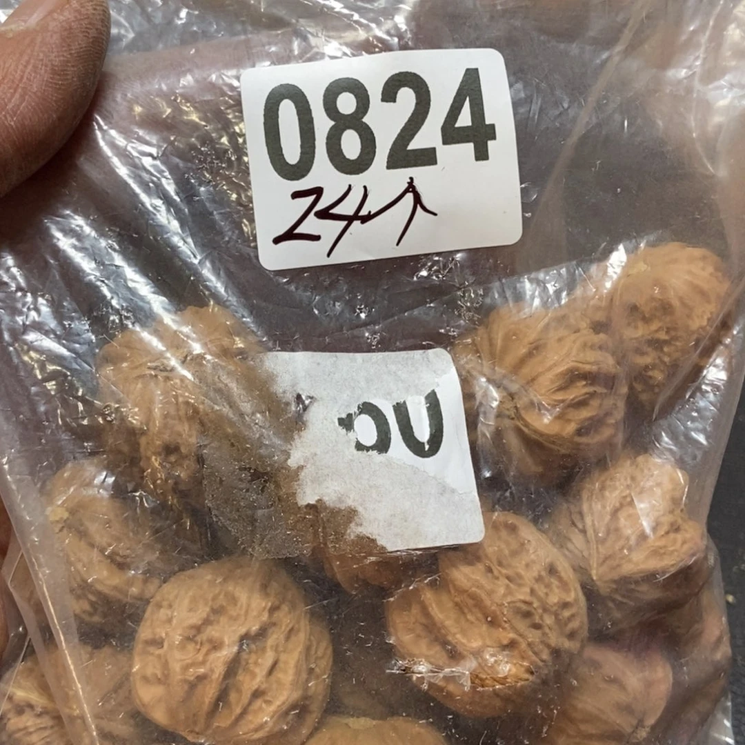 文玩核桃吊坠海****?秋子