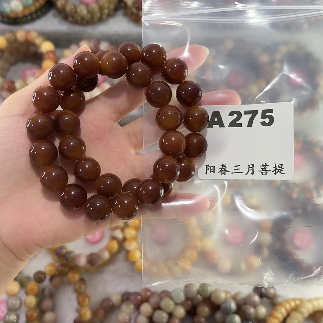 现***白吊坠菩提根/象牙果