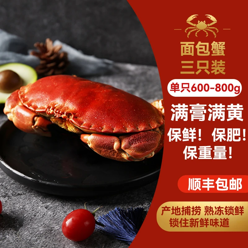 【面包蟹尝鲜福利A】英国爱尔兰超大面包蟹鲜活熟冻单黄金蟹珍宝蟹