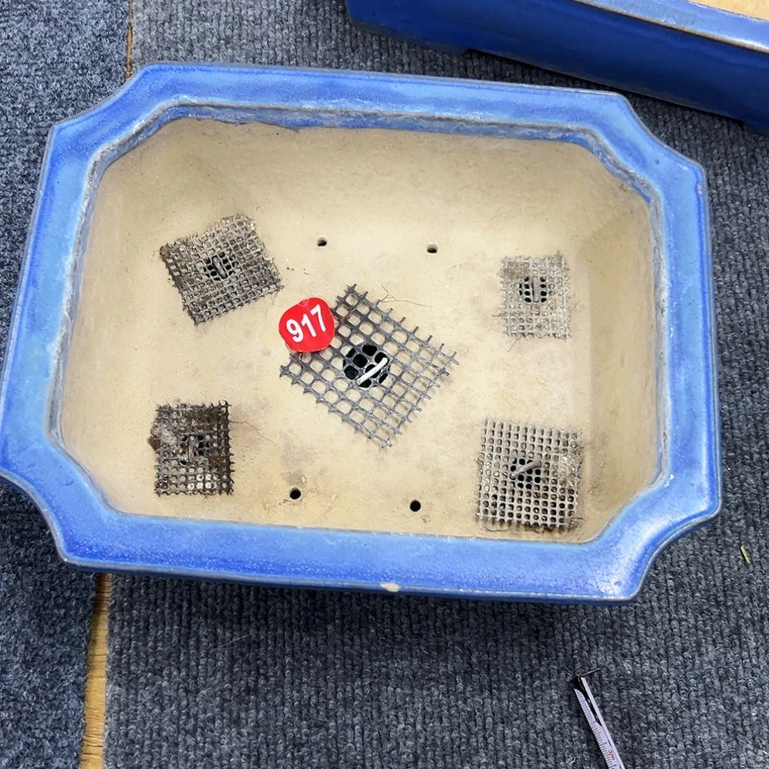 六***5对你的喜欢就如同这日子只增不减917